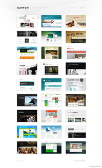 澳大利亞班頓 通過自由網(wǎng)頁設計、品牌定制與優(yōu)質WordPress解決方案塑造卓越在線形象